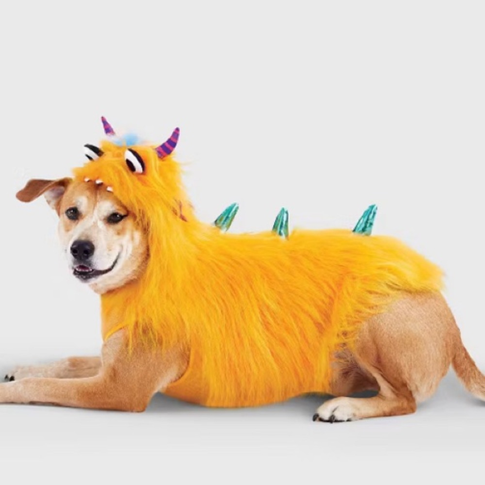 NWT Hyde and Eek dog Halloween outfit Size Medium measurements in photos